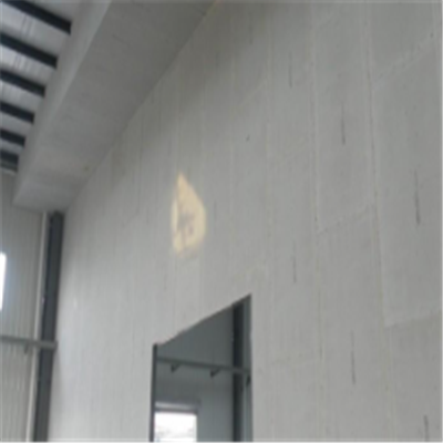 临泽宁波ALC板|EPS加气板隔墙与混凝土整浇联接的实验研讨